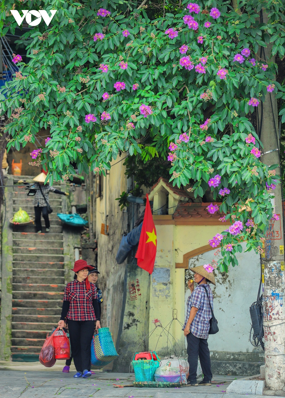 sac he ruc ro tren pho bien ha long hinh anh 6