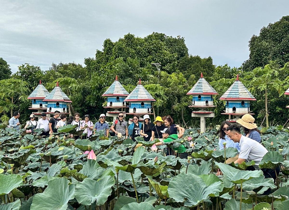 xuc tien diem den du lich giua ha noi, ninh binh, kon tum voi cac tinh tay nam bo hinh anh 2